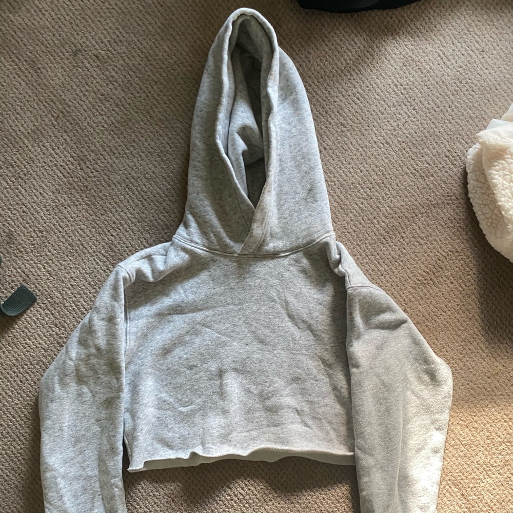 Aritzia Wilfred free cropped hoodie XXS